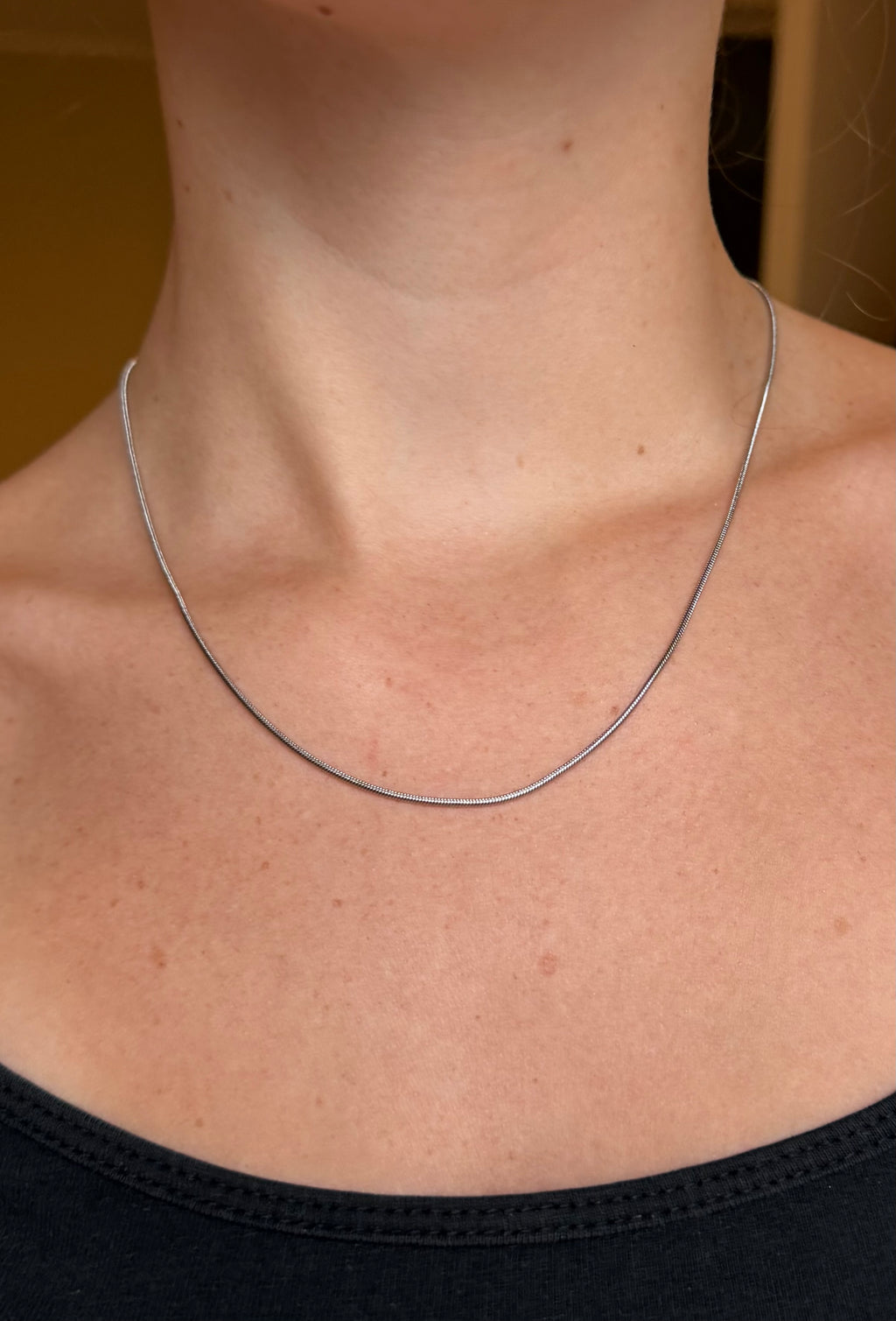 Snake ketting