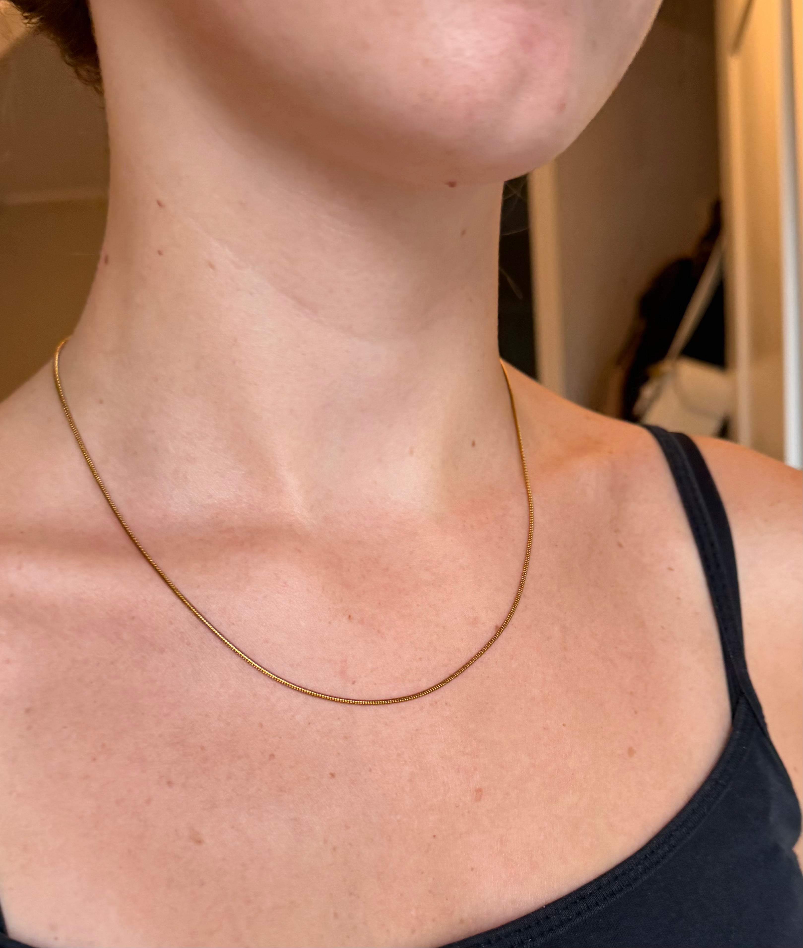 Snake ketting